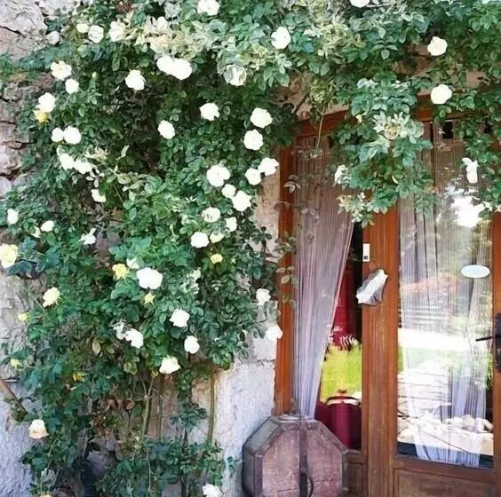 ペンション La Ferme Bonne De La Grotte