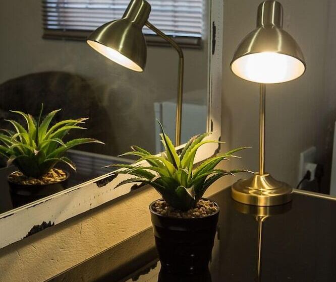 膳宿费 Lakeview Guest House