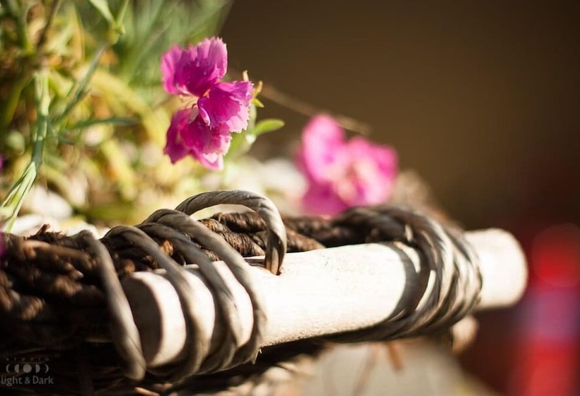 Пансион Oreiades Guesthouse