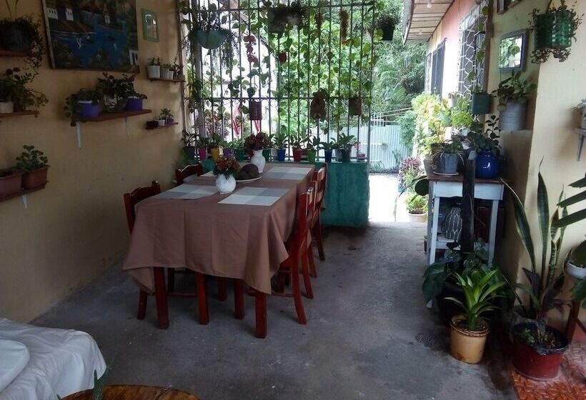 ペンション Patio De Joan