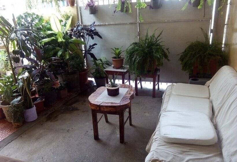 ペンション Patio De Joan