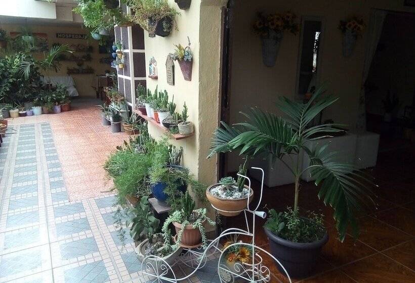 ペンション Patio De Joan