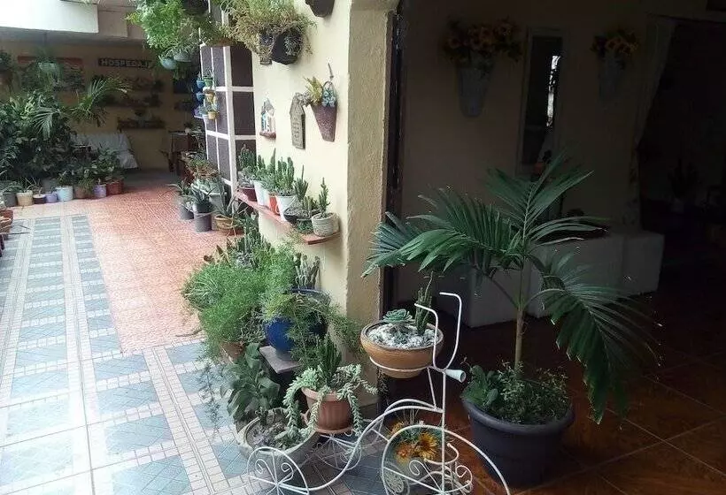 پانسیون Patio De Joan