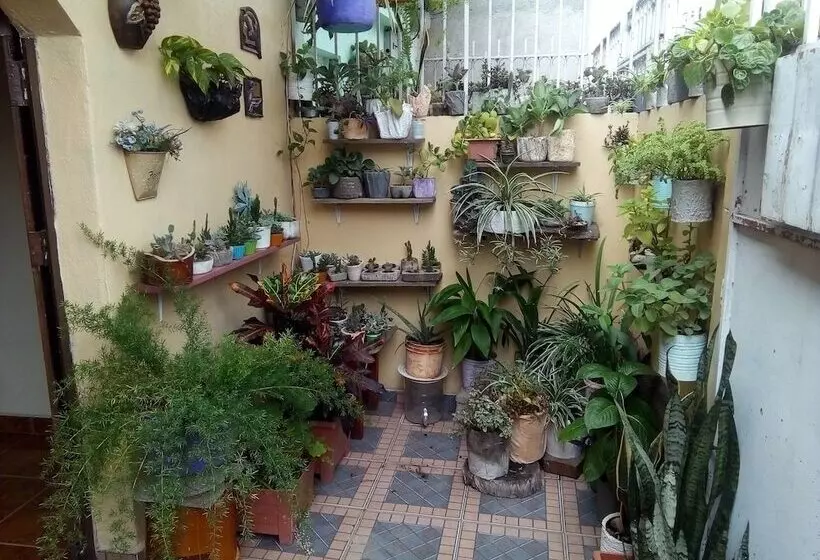 پانسیون Patio De Joan