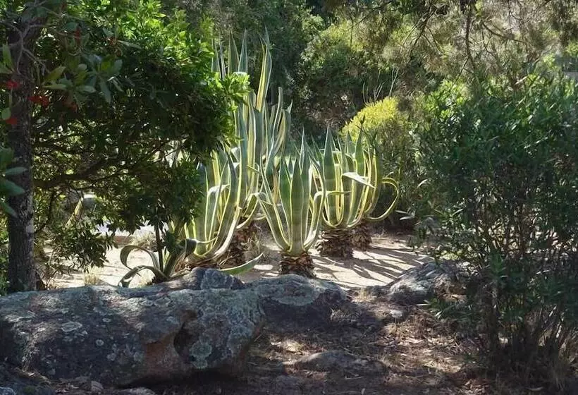 リゾートホテル Domaine De La Punta
