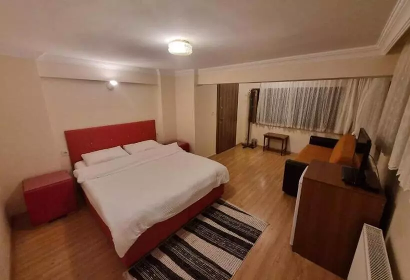 ホテル Snow Hi̇ll House Pansiyon