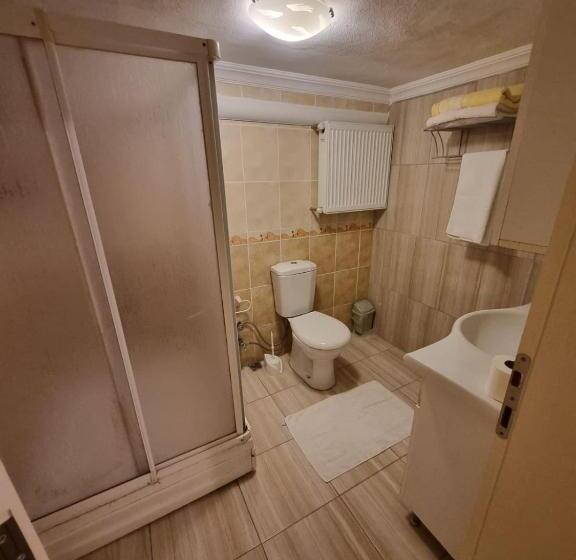 בית מלון כפרי Snow Hi̇ll House Pansiyon