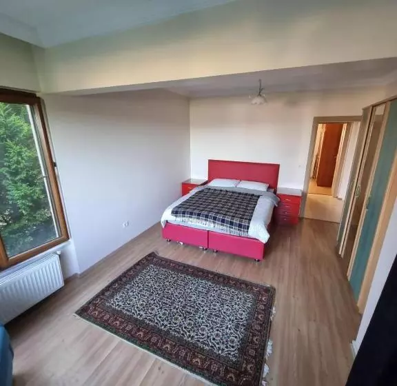 ホテル Snow Hi̇ll House Pansiyon