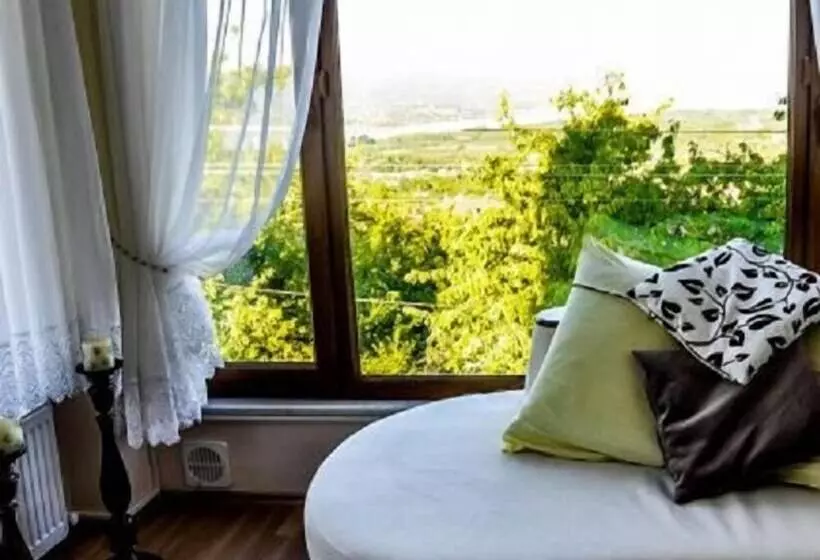 ホテル Snow Hi̇ll House Pansiyon