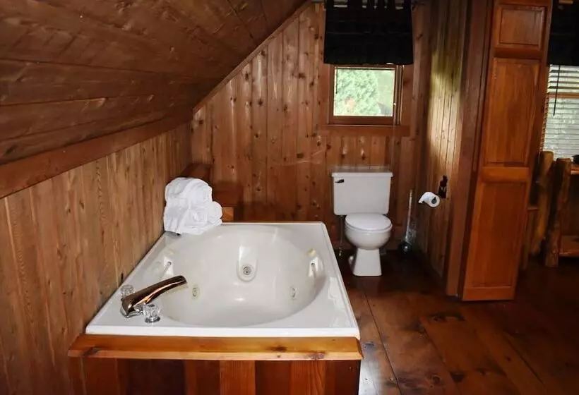 Toccoa River Retreat