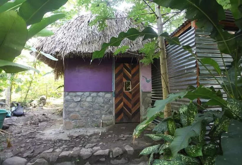 El Pital Chocolate Paradise   Hostel