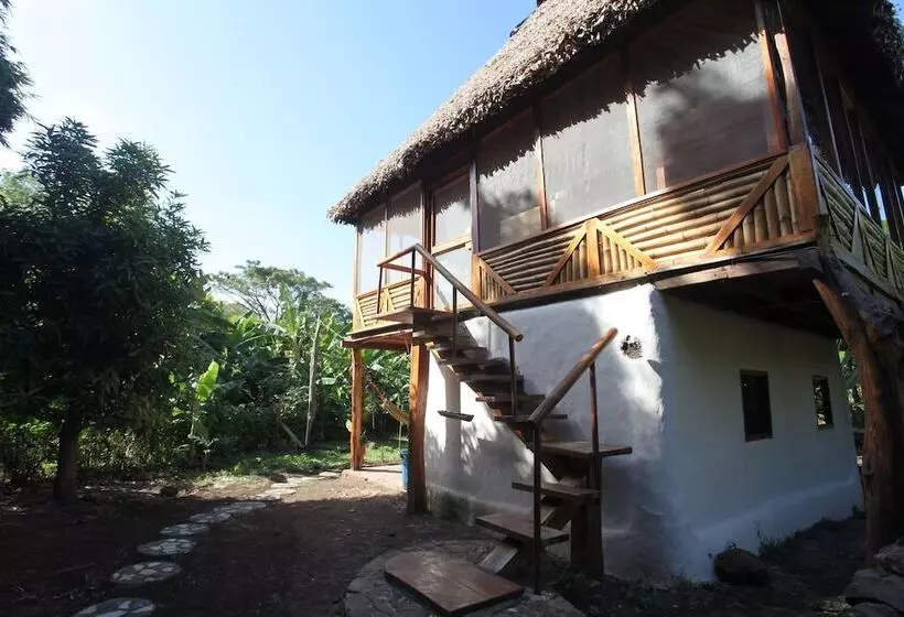 El Pital Chocolate Paradise   Hostel