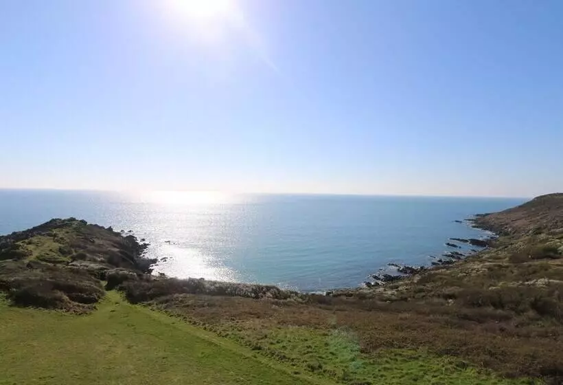 Gannet Watch