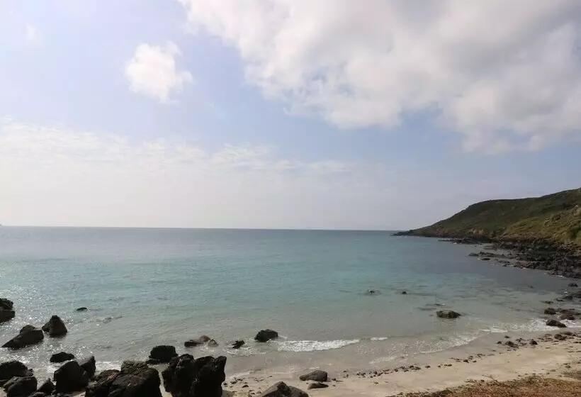 Gannet Watch