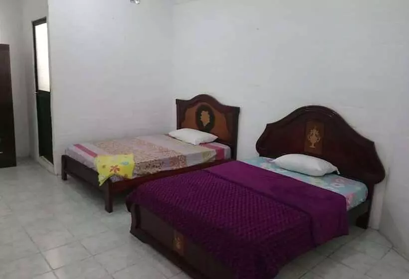 Hotel Alemán
