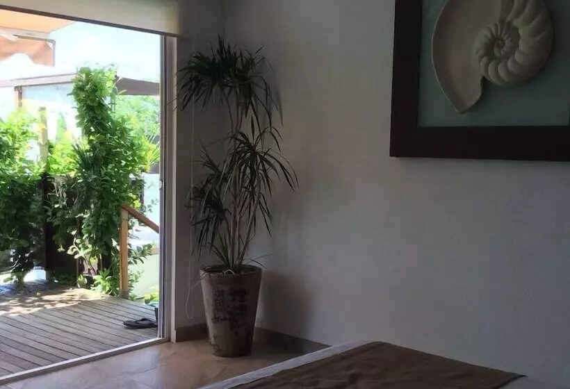 ホテル Casa Qi Mazunte