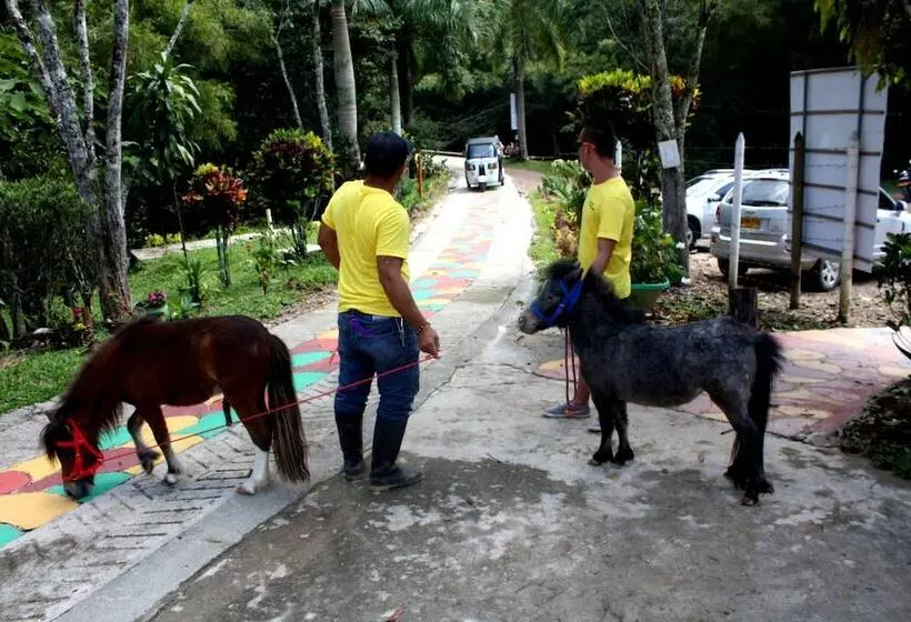 Hotelli Club Paradise