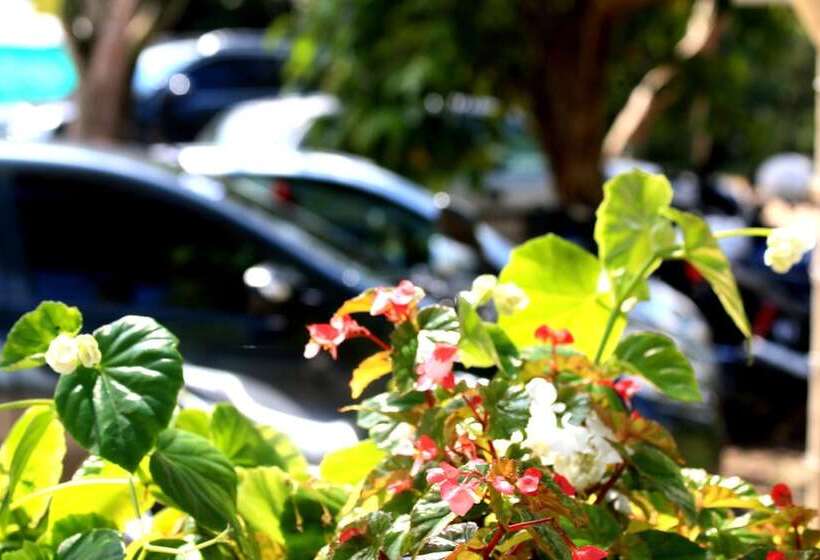 فندق Club Paradise