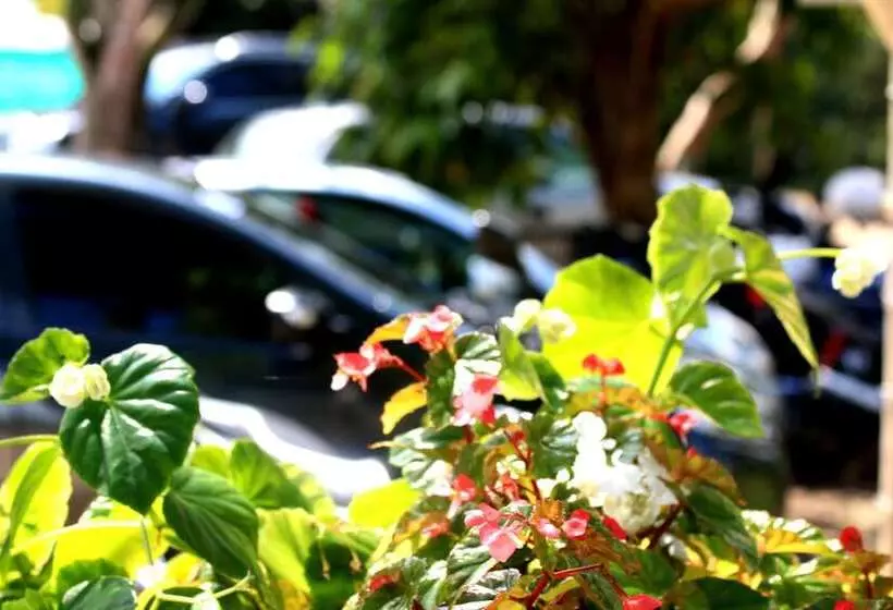 Hotelli Club Paradise