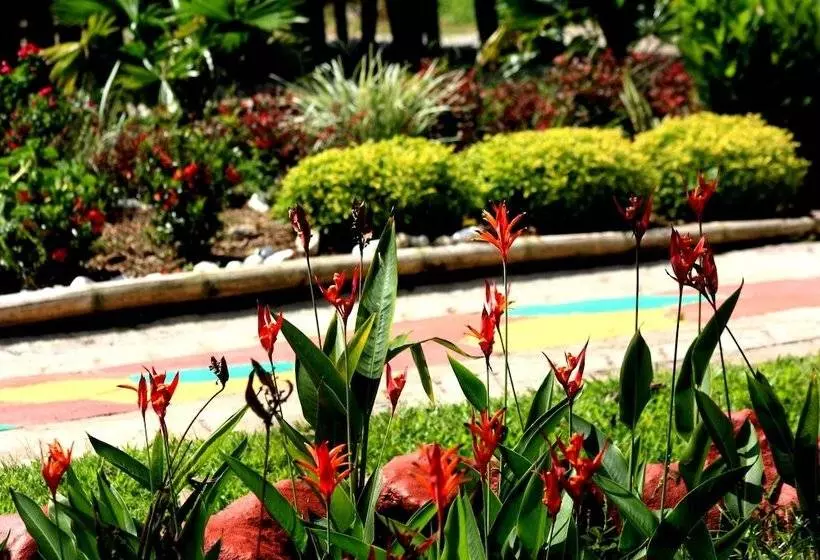 Hotelli Club Paradise