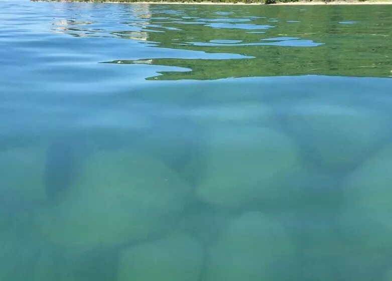 Hotelli Whaleback Inn