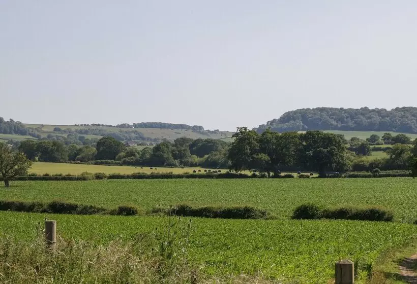 Mappowder Cottage
