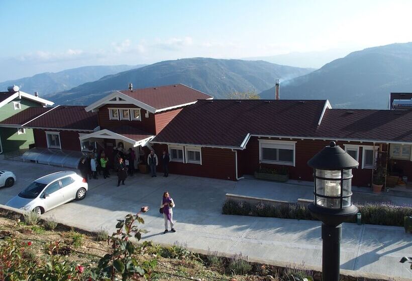 פנסיון Ktima Noosfera Wellness & Retreat Center