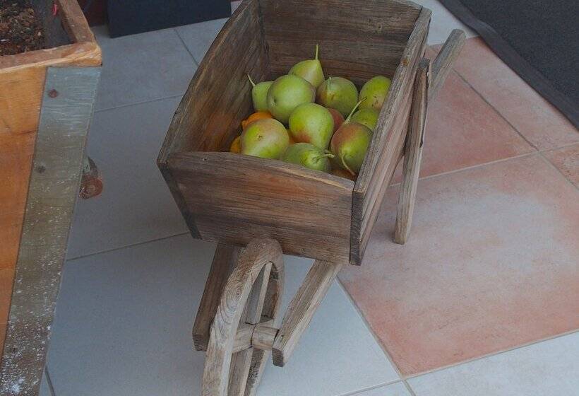 פנסיון Ktima Noosfera Wellness & Retreat Center