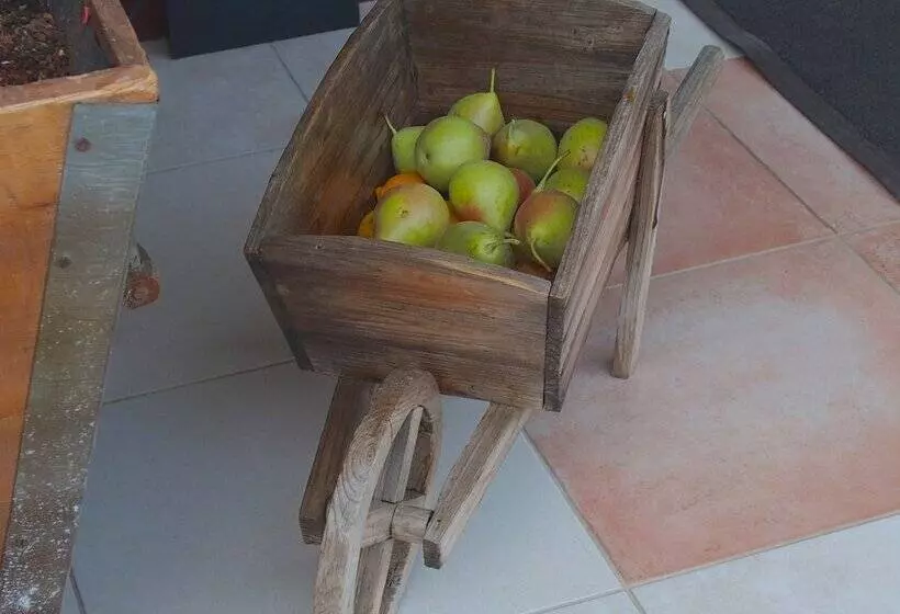 Majatalo Ktima Noosfera Wellness & Retreat Center