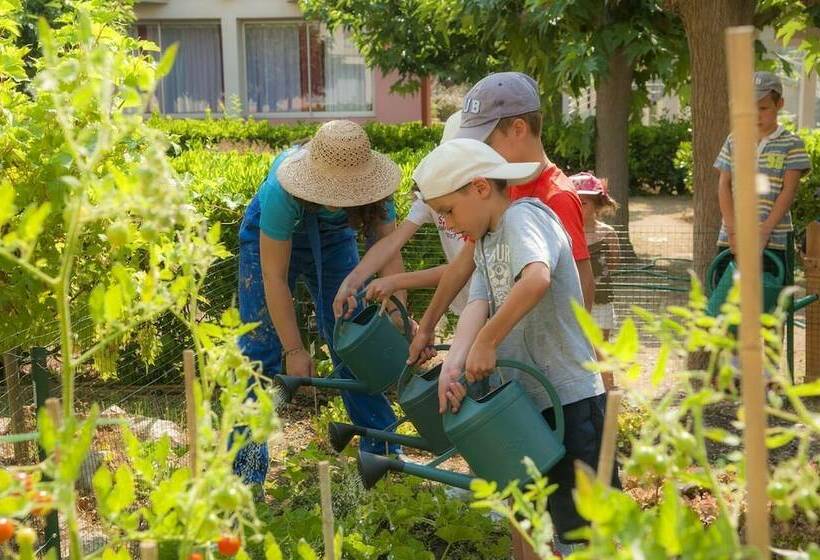 Курорт Village Vacances Lo Solehau