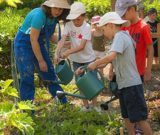 Курорт Village Vacances Lo Solehau