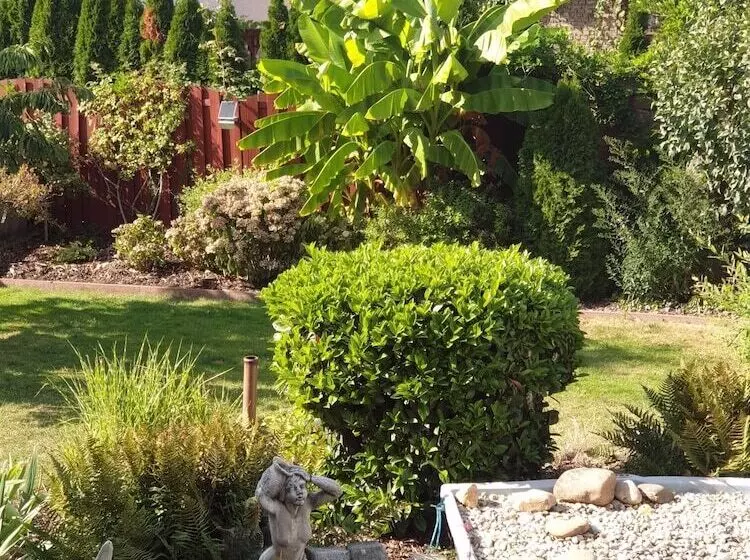 Bed and Breakfast Business Pension Gasper