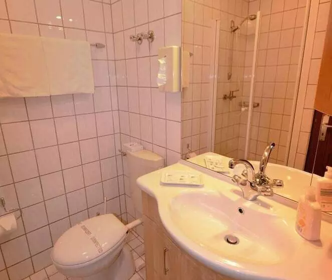 בית מלון כפרי Restaurant Zur Mainlust