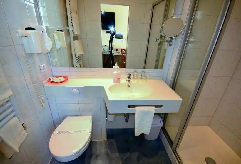 בית מלון כפרי Restaurant Zur Mainlust