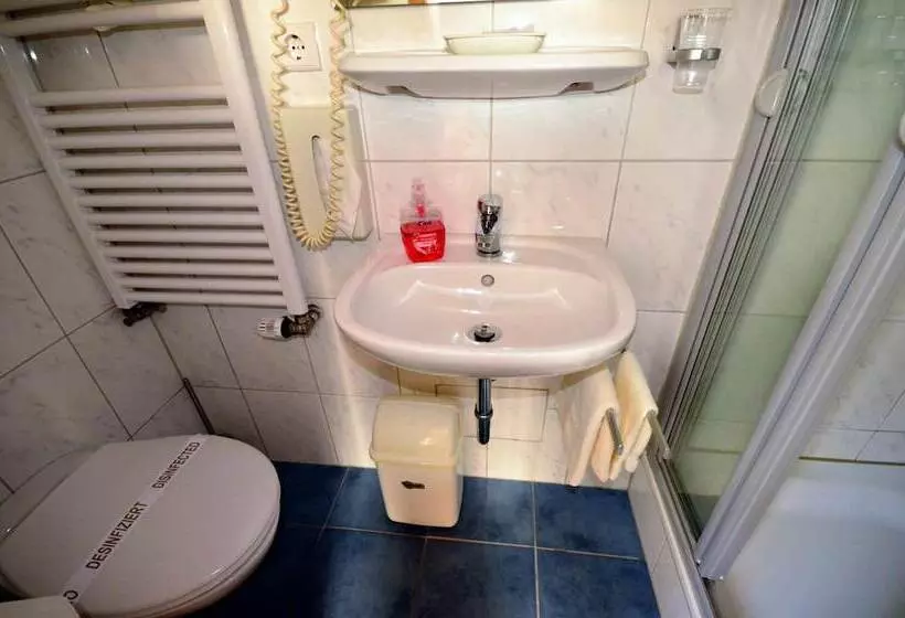 בית מלון כפרי Restaurant Zur Mainlust