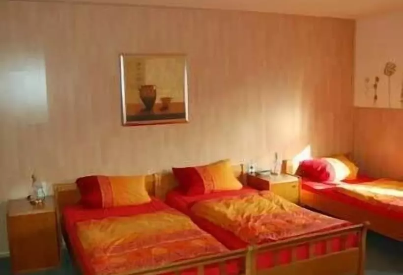 פנסיון Gasthof Hausmann