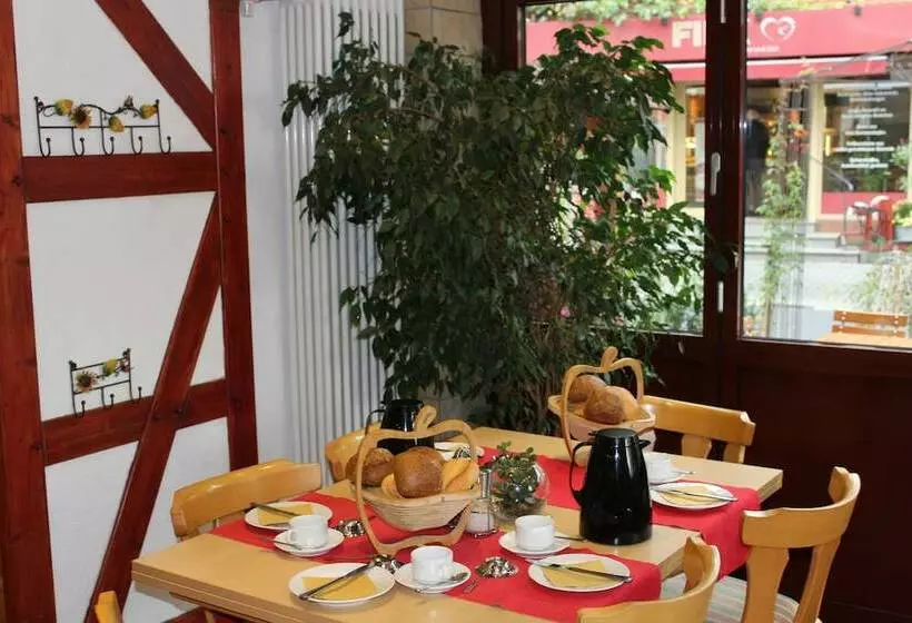 פנסיון Gasthof Hausmann