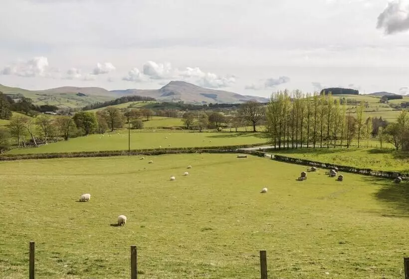 Cyffdy Cottage   Arenig