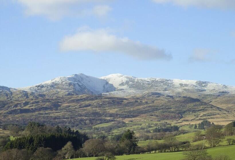 Cyffdy Cottage   Tegid
