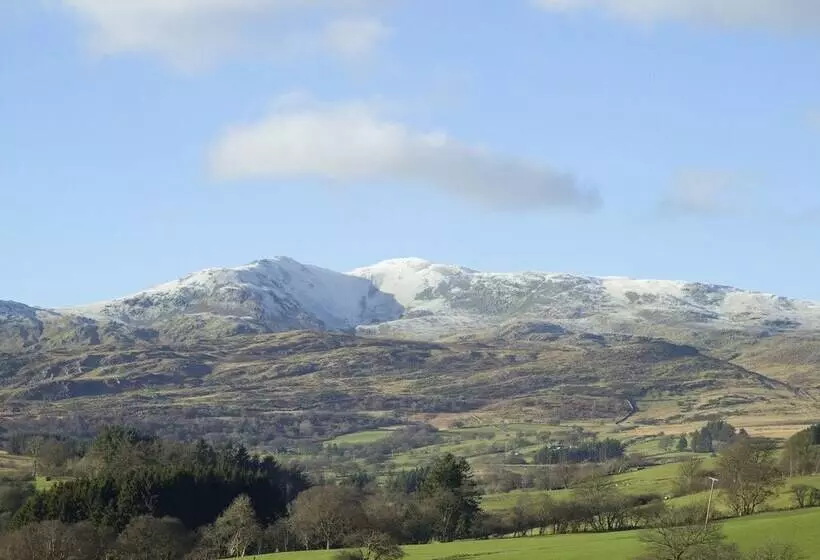 Cyffdy Cottage   Tegid
