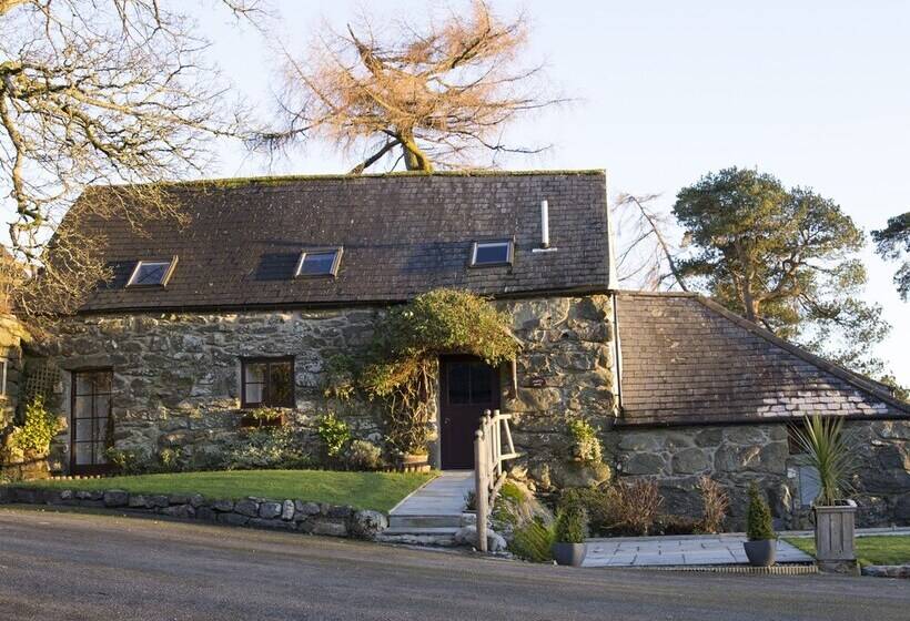 Cyffdy Cottage   Tegid