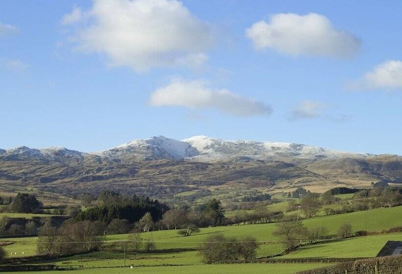 Cyffdy Cottage   Tegid