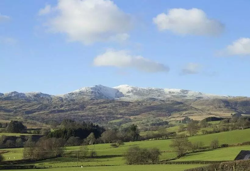 Cyffdy Cottage   Tegid