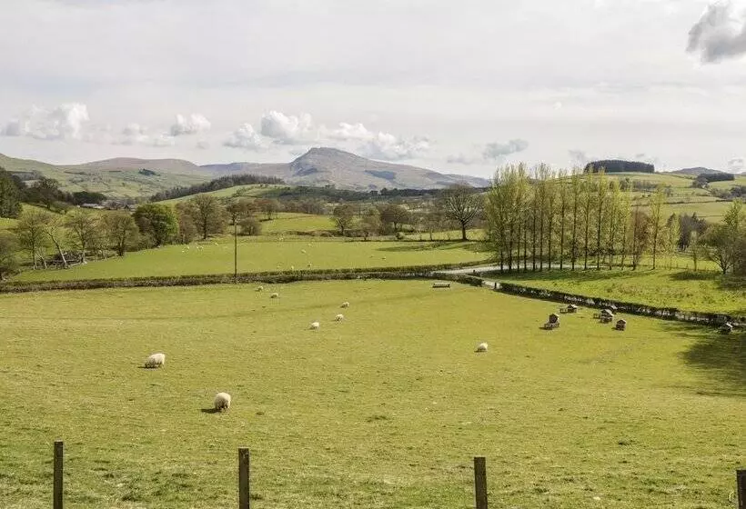 Cyffdy Cottage   Tegid