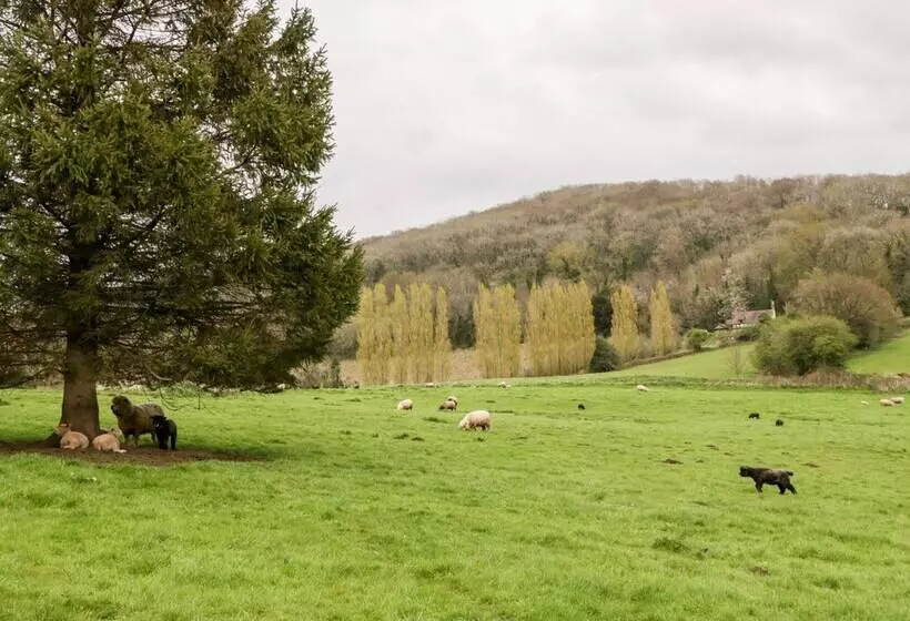 Orchard Cottage