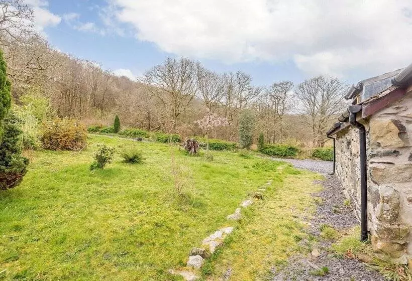 Bythyn Ddol Hafod