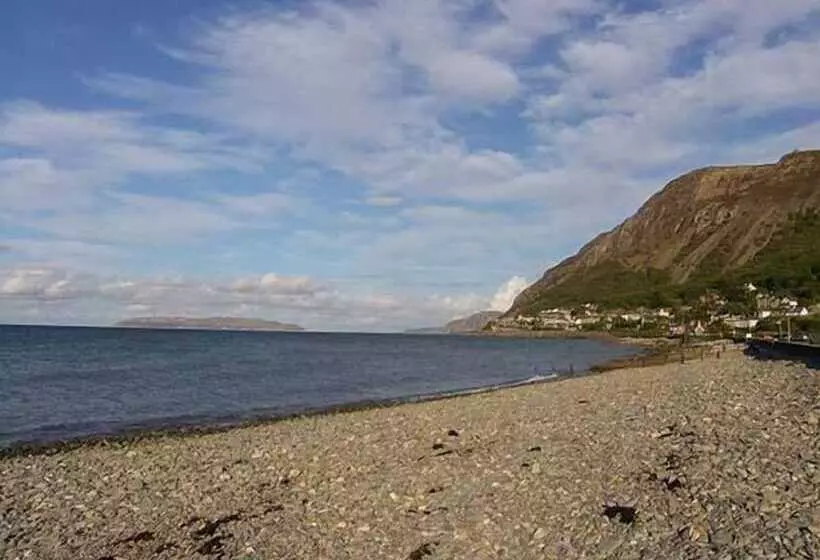 Gwylanedd One