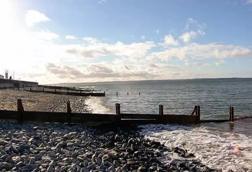 Gwylanedd One