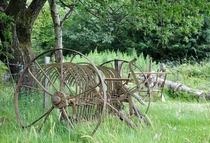Hendre Aled Cottage 1