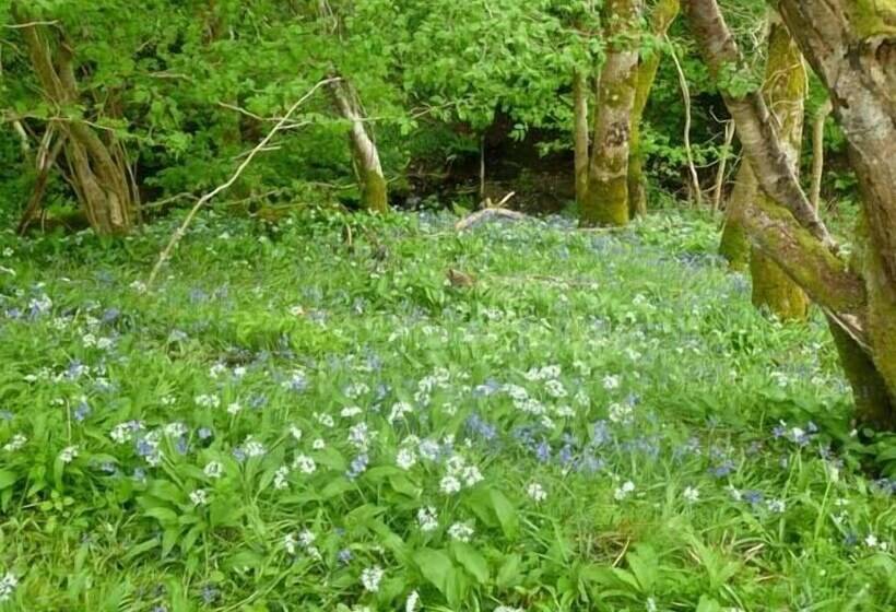 Hendre Aled Cottage 1